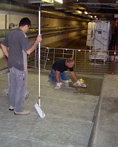 zu den SynTex Objektberichten